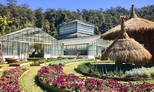 Visit Together Queen Sirikit Botanic Garden